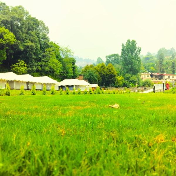 IMG20250609111358.jpg